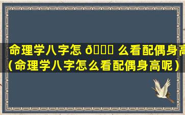 命理学八字怎 🐟 么看配偶身高（命理学八字怎么看配偶身高呢）